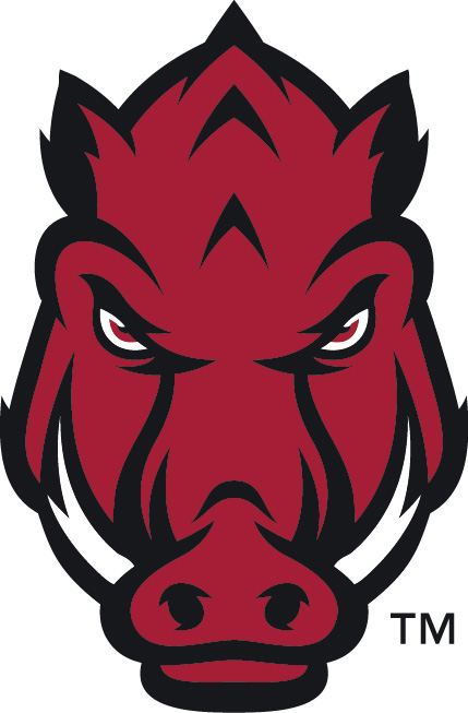 Arkansas Razorbacks 2014-Pres Secondary Logo diy iron on heat transfer...